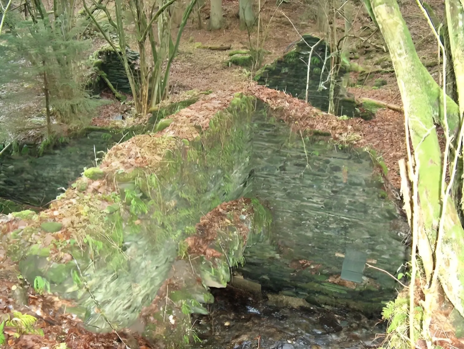  Übernachtungen Mosel 
